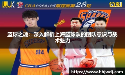 篮球之魂：深入解析上海篮球队的团队意识与战术魅力